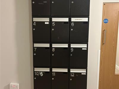 Picture 14